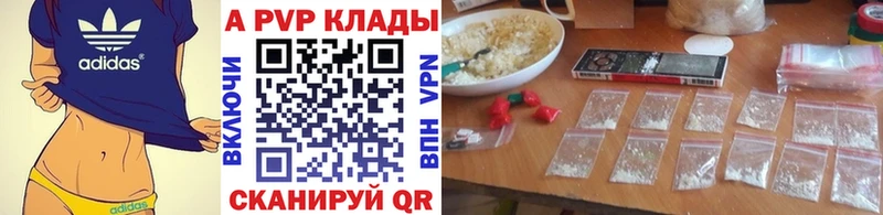 OMG сайт  Дно  Alpha-PVP СК 