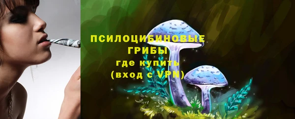 а пвп мука Алзамай