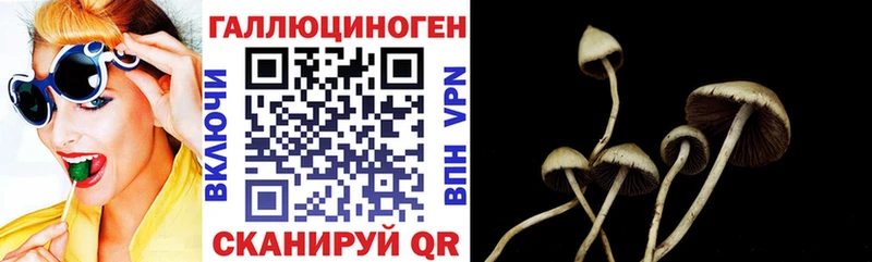 Галлюциногенные грибы Psilocybine cubensis Дно